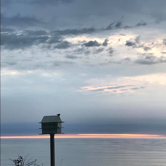 Meet your Posher, T - Picture 2 of 2